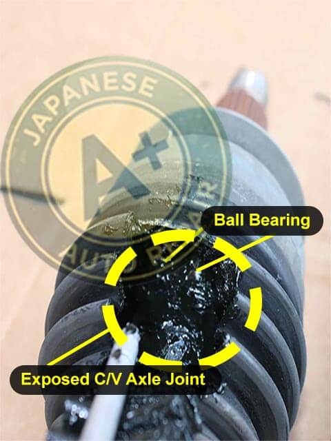 Image shows a C/V axle with exposed C/V axle joint & ball bearing - A+ Japanese Auto Repair Inc.